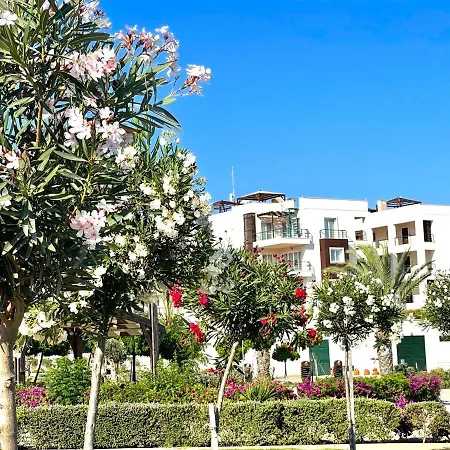 Peaceful Oasis At The *
