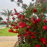 Peaceful By The Sea *