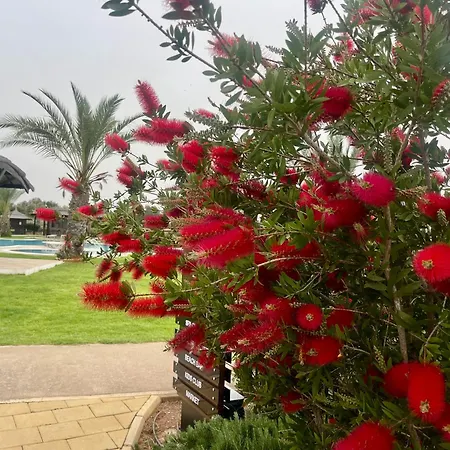 Peaceful By The Sea *