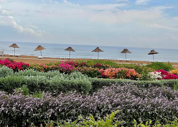 Peaceful By The Sea * Vokolidha