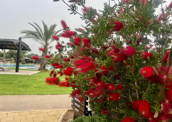 Peaceful By The Sea *